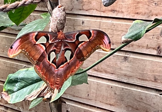 23-09-09 11-02-42 6505